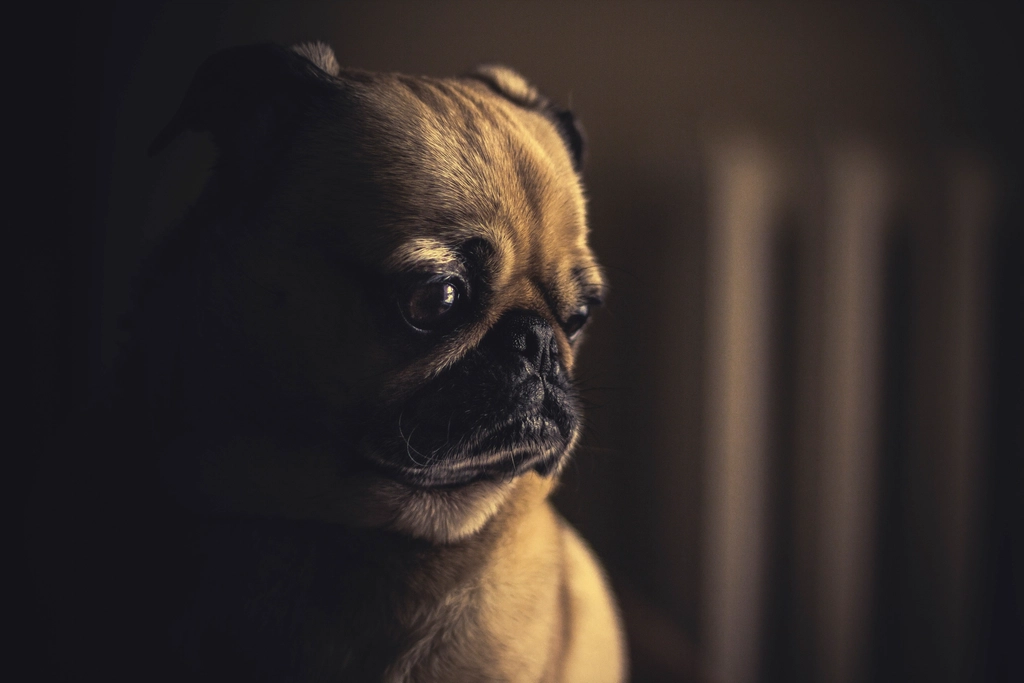 The Role of Training in Managing Jealousy (image credits: rawpixel)