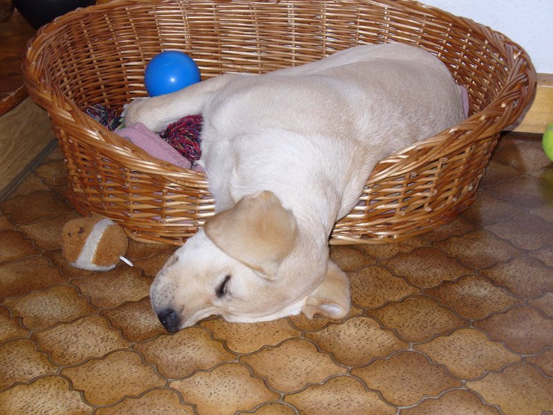 Simple Ways to Make Alone Time Easier (image credits: wikimedia)