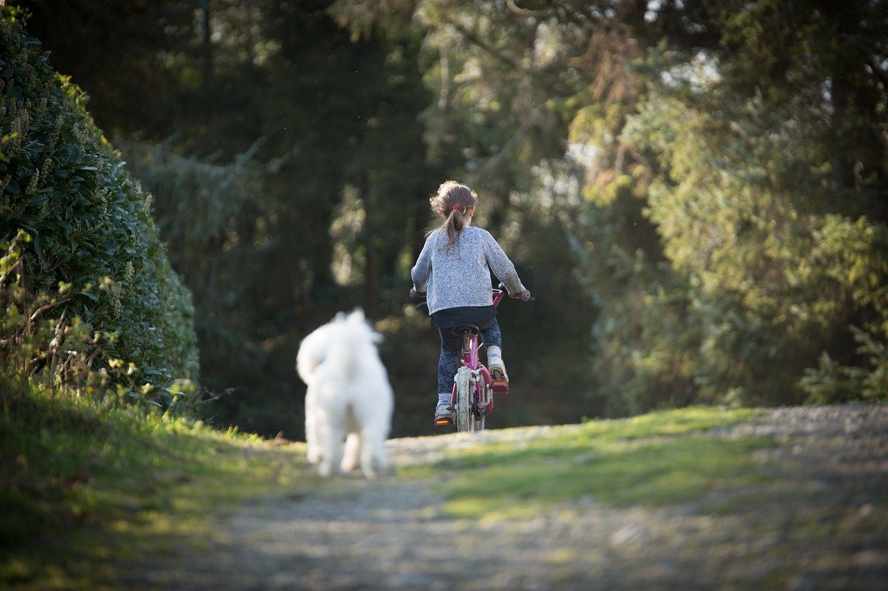 Weekend Warriors: Embracing Spontaneity and Fun (image credits: pixabay)