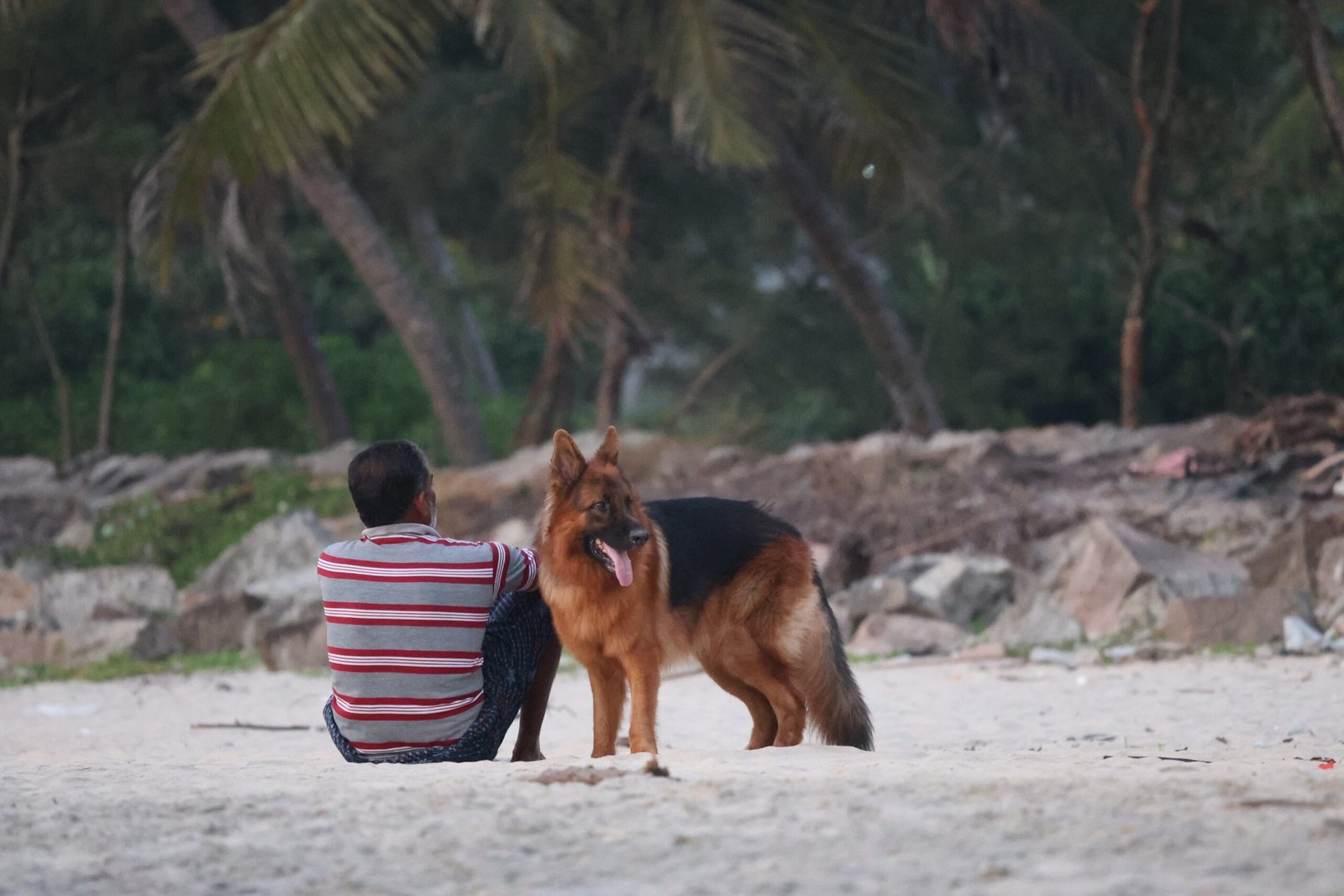 Family Life: Gentle Protectors or Overzealous Guards? (image credits: wikimedia)