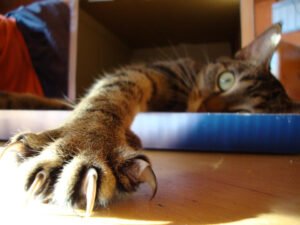 Destructive Scratching