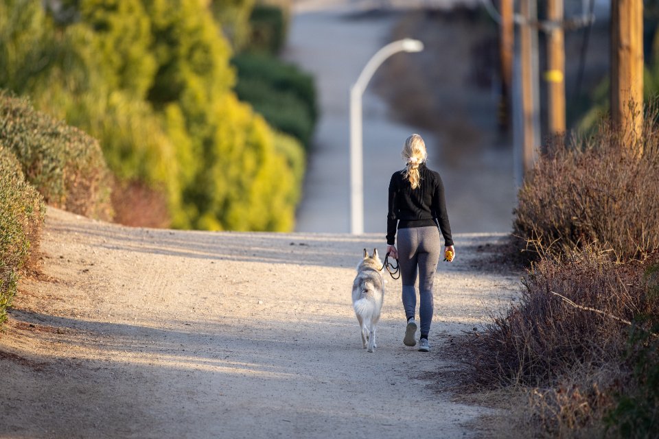 4. Building Daily Routines Together (image credits: stocksnap)