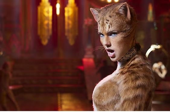 Cat Taylor Swift