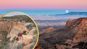 Dog Falls 100 Feet Down Canyon in Colorado’s National Monument And Survives