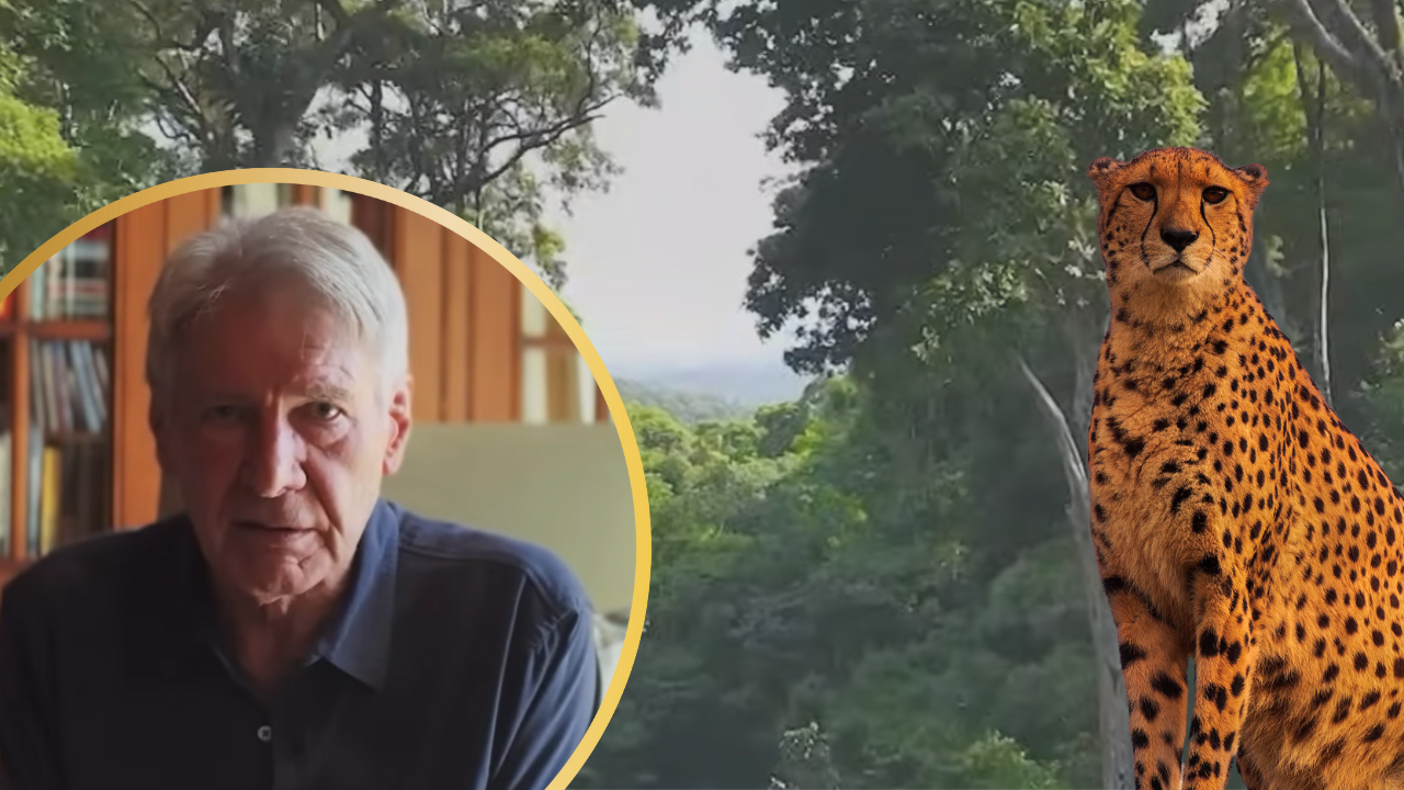 Harrison Ford’s “Listen to The Quiet” is a Tearjerking CTA For Conservation