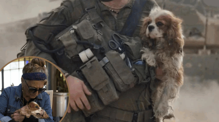 After 18 Months in Gaza, Missing Dog Reunited with Israeli Owner
