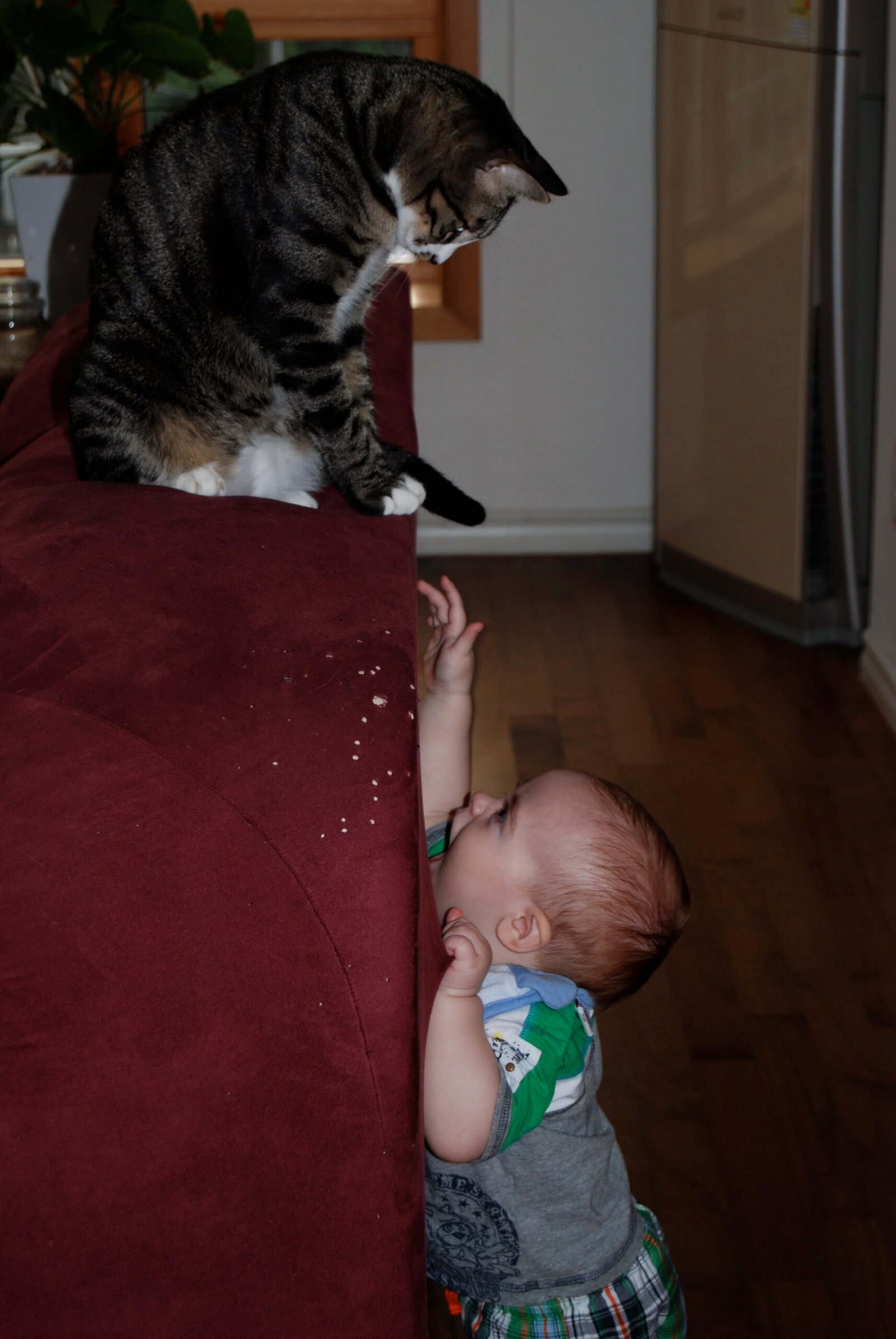 Make the First Meeting Calm and Controlled (image credits: wikimedia)
