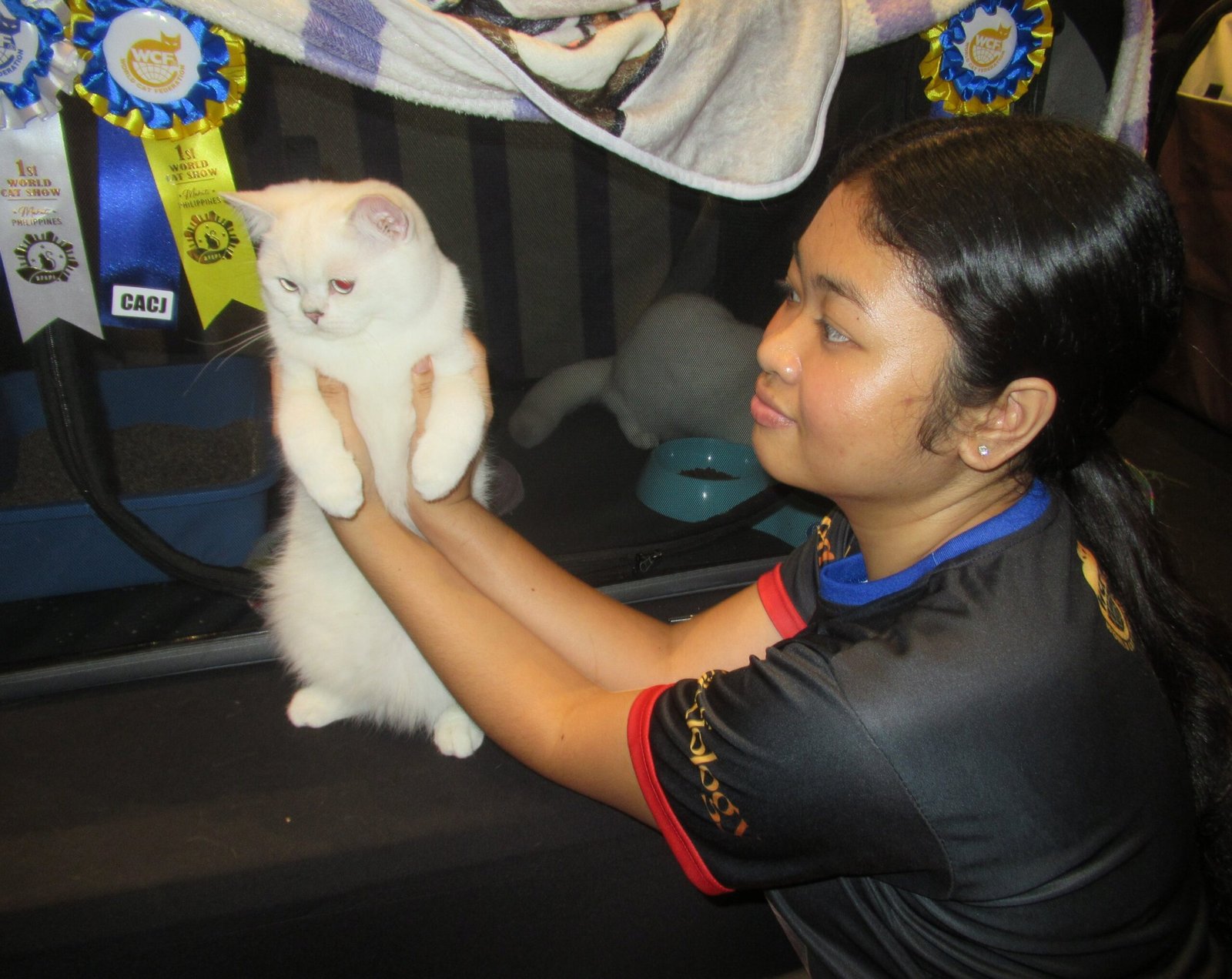 Supervise All Interactions, Especially at First (image credits: wikimedia)