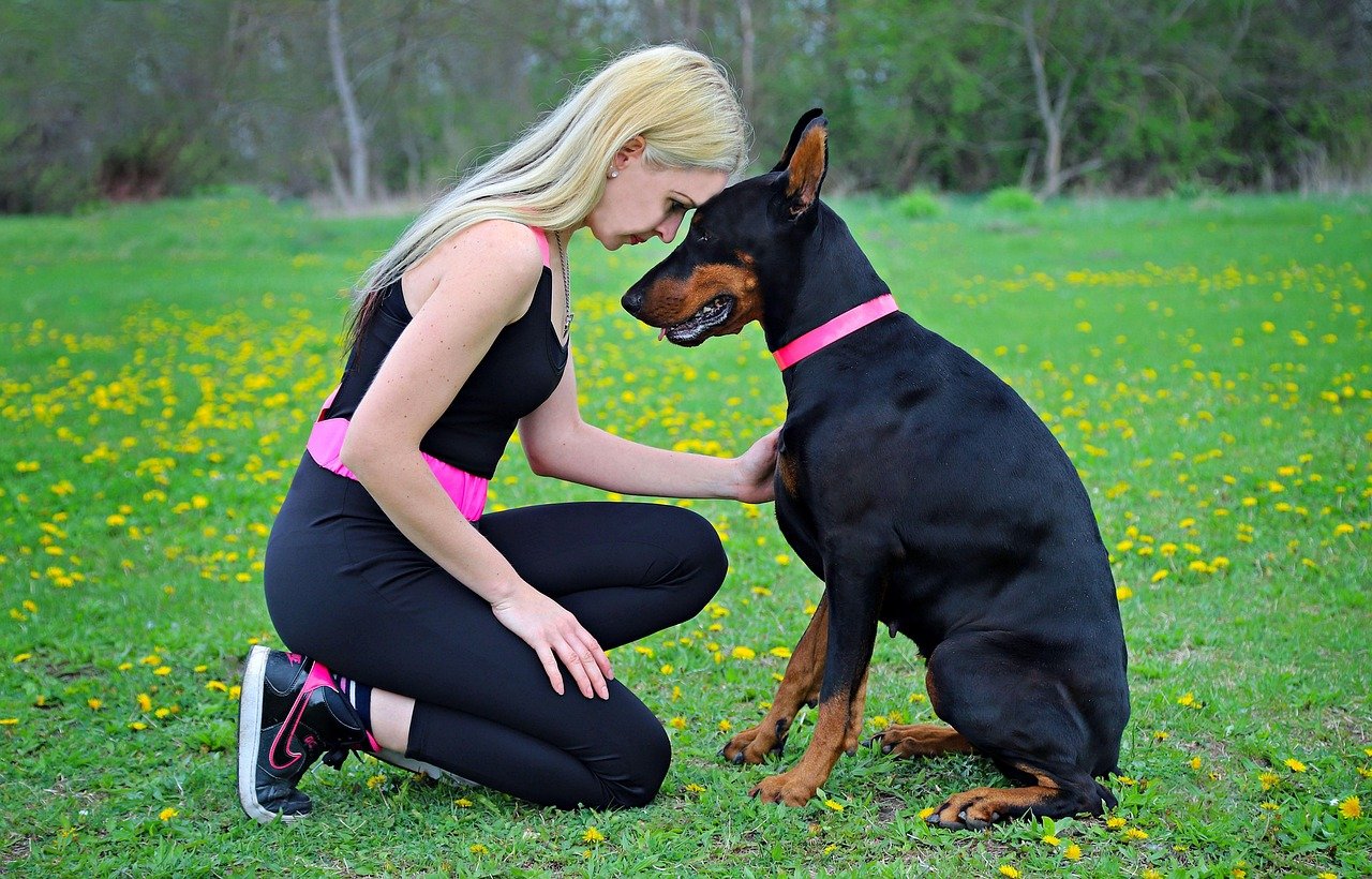 Loyalty Beyond Words: The Human-Doberman Bond (image credits: pixabay)