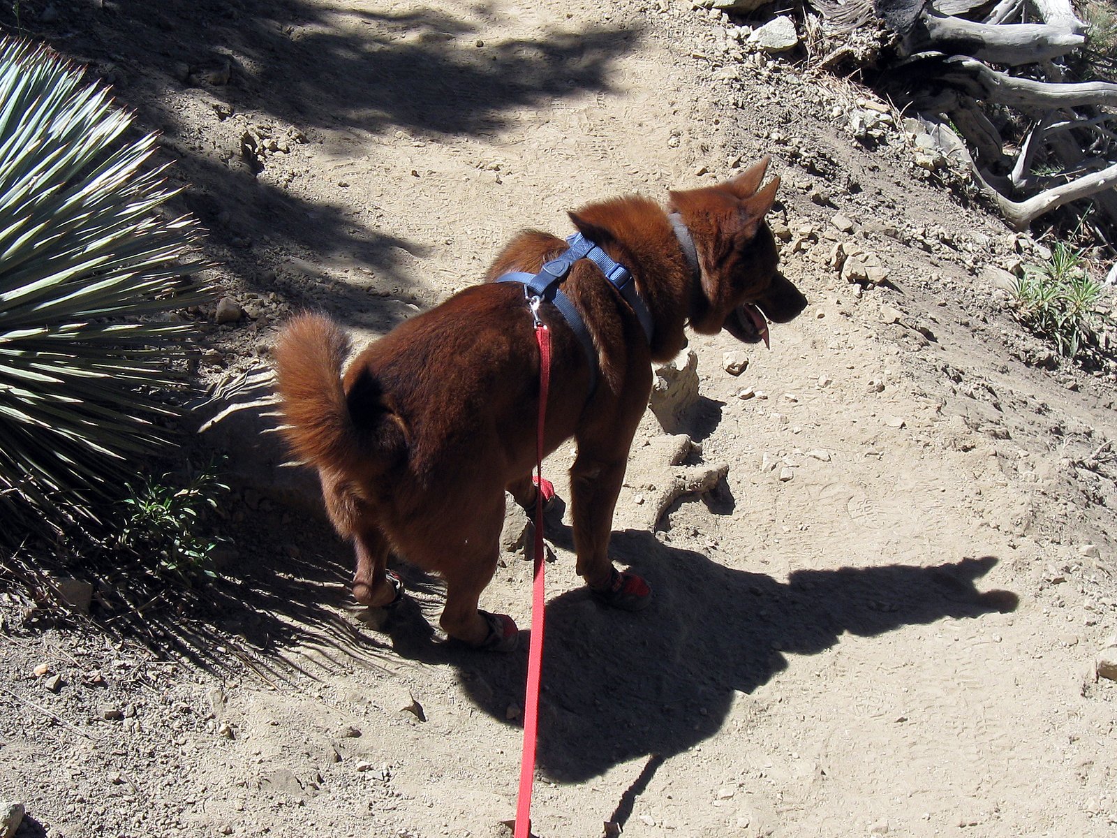 Recognizing the Warning Signs (image credits: wikimedia)