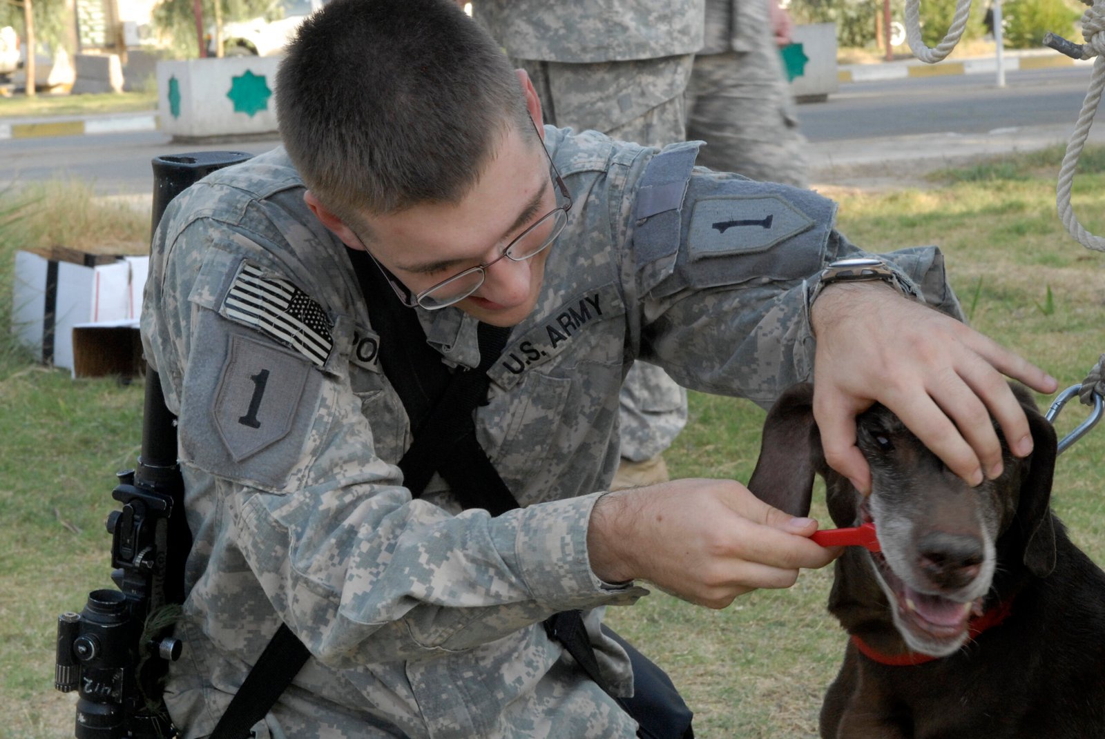 Practice Good Dental Hygiene (image credits: wikimedia)