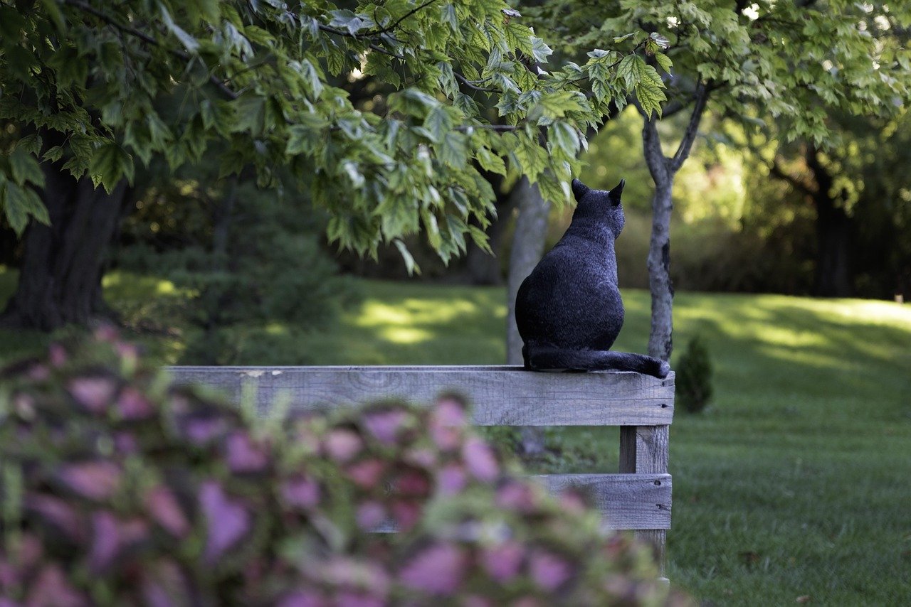 10. Tail Flicking and Ears Pinned Back: Silent Signals of Stress (image credits: pixabay)