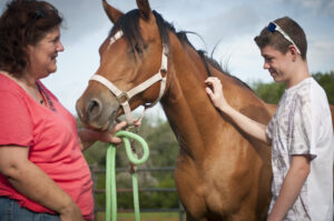 How Positive Human-Horse Bonding Contributes to Equine Well-Being