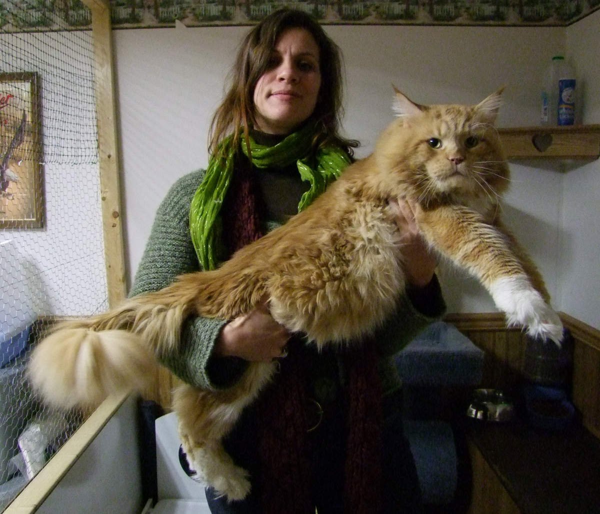 Long-Lasting Companionship (image credits: wikimedia)