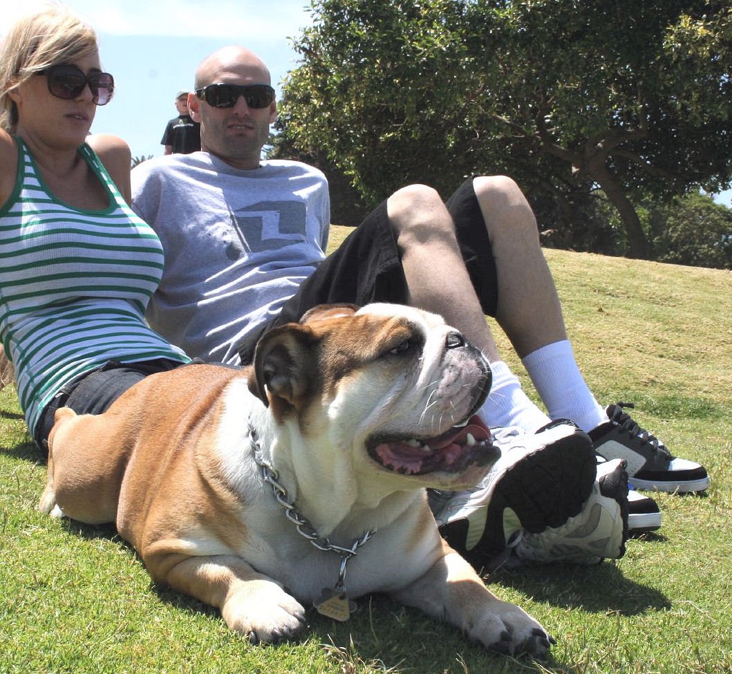 19 Most Misunderstood Dog Breeds and What They’re Really Like as Family Pets