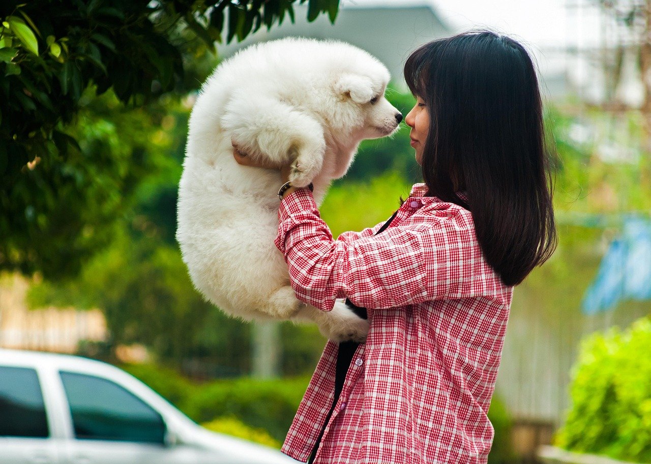 Shower Them With Love and Affection (image credits: pixabay)