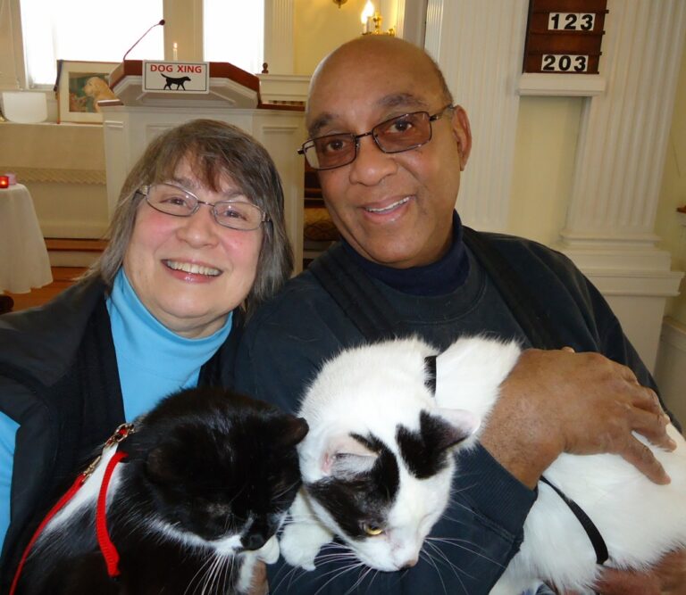 11 Surprising Benefits of Daily Cat Cuddles