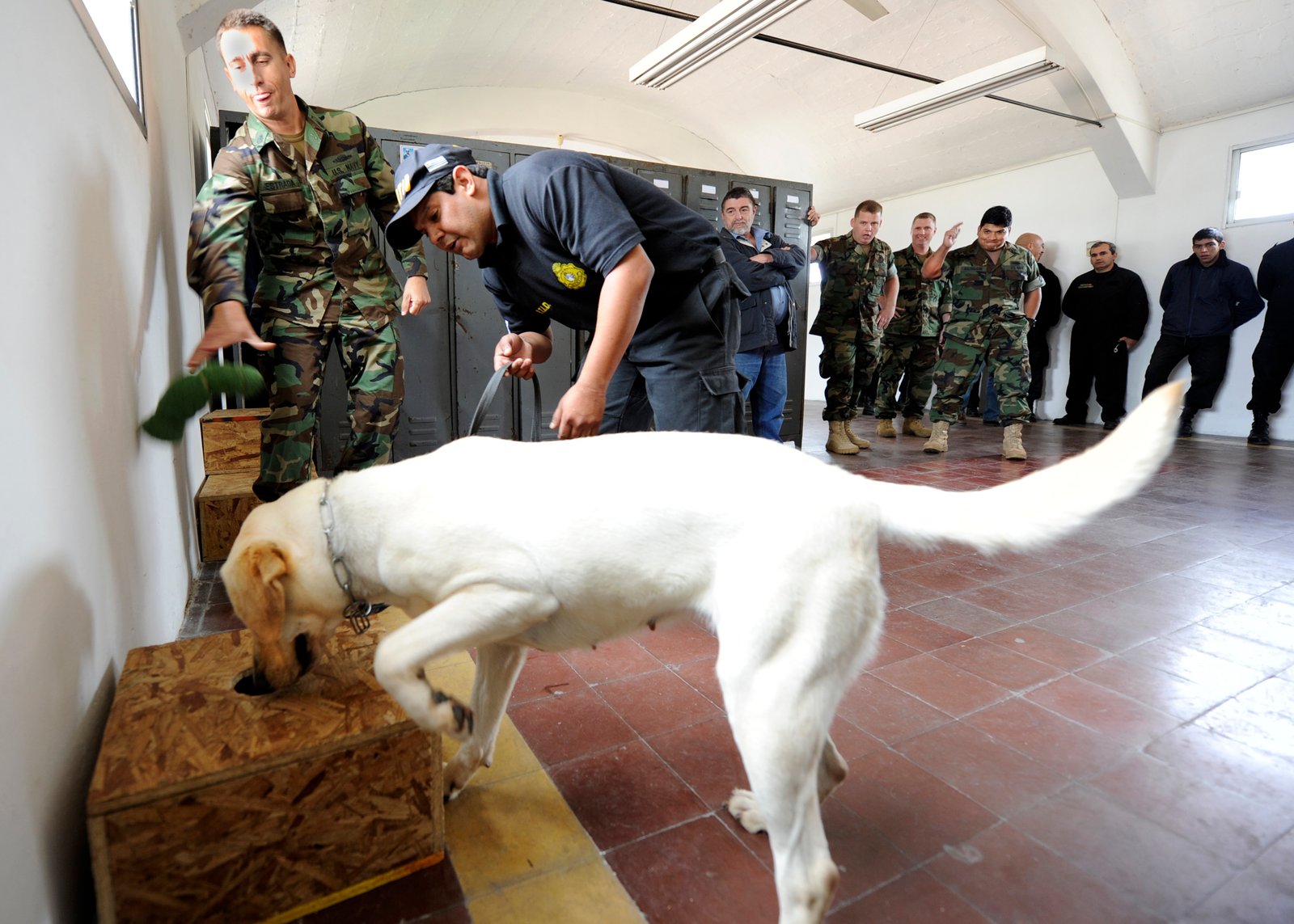 Uncovering Hidden Wildlife Crimes: Detection at Borders and Airports (image credits: wikimedia)