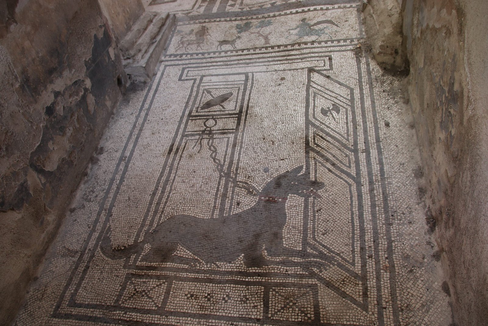 Dogs in Early Human Societies: From Partnership to Symbolism (image credits: wikimedia)