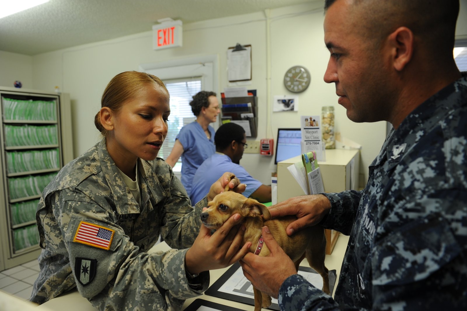 Visit the Vet for Regular Checkups (image credits: wikimedia)