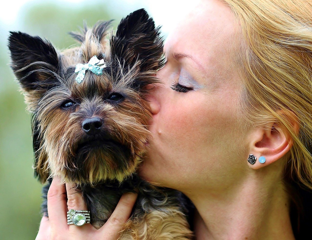 10 Ways to Keep Your Yorkshire Terrier Healthy and Happy