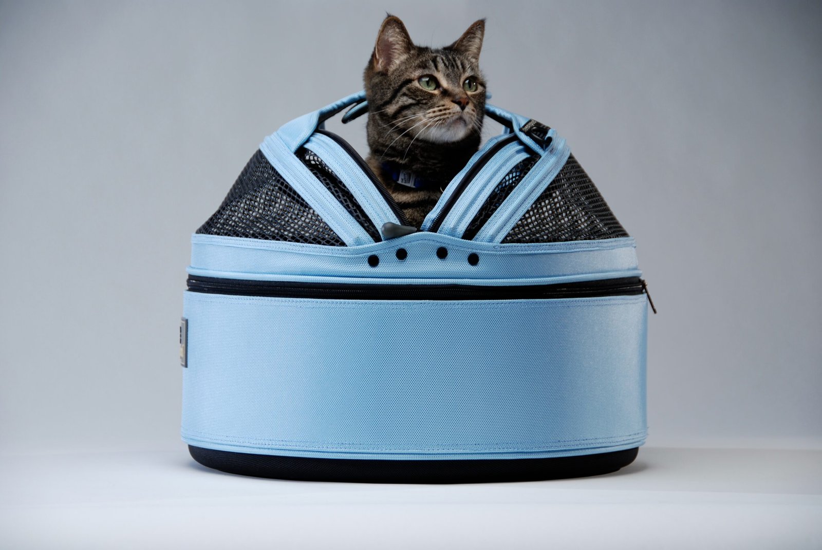 Boxes and Bags: Irresistible Hideouts (image credits: wikimedia)