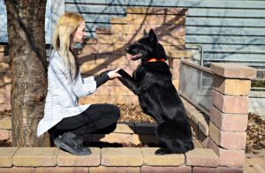12 Loving And Intuitive Dog Breeds That Know How to Heal Hearts