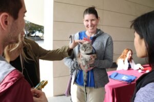 Can Cats Be Emotional Support Animals? What the Experts Say