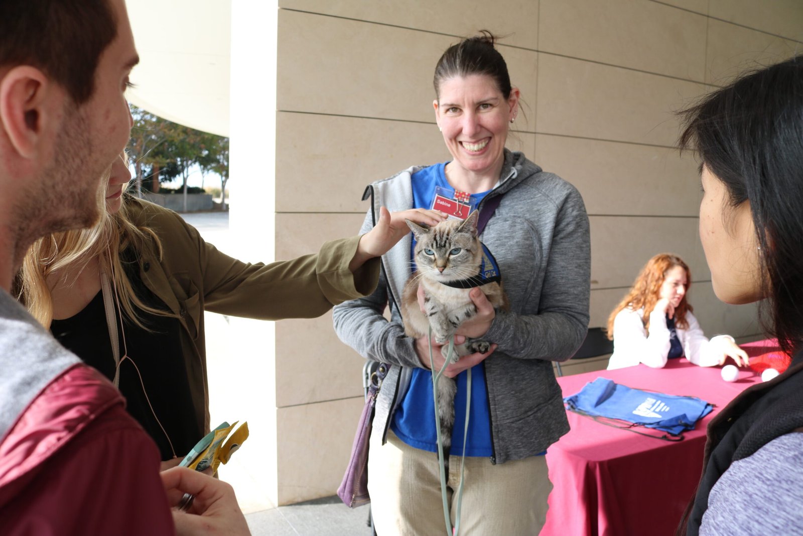 Can Cats Be Emotional Support Animals? What the Experts Say