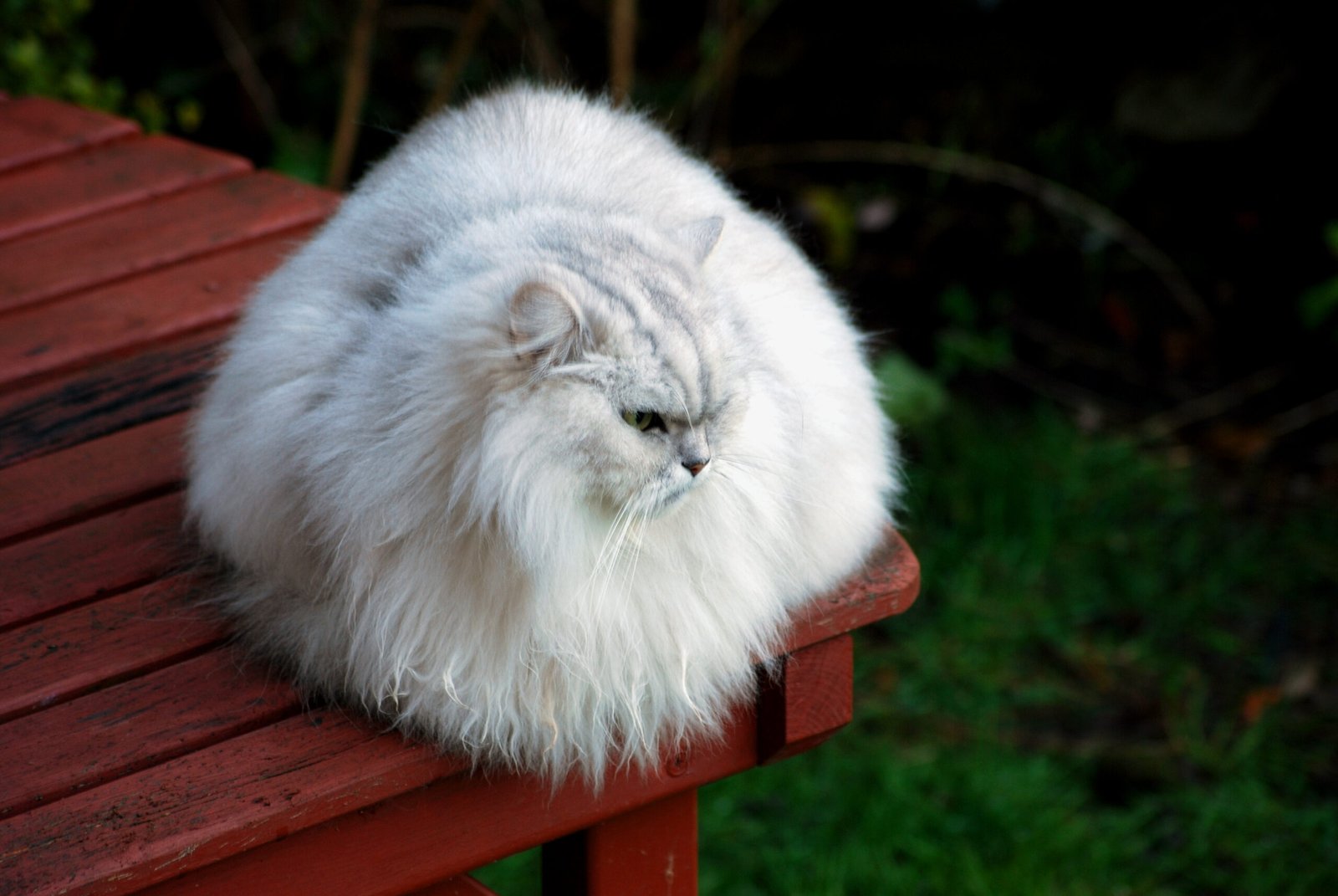 Responding to Changes in the Environment (image credits: wikimedia)