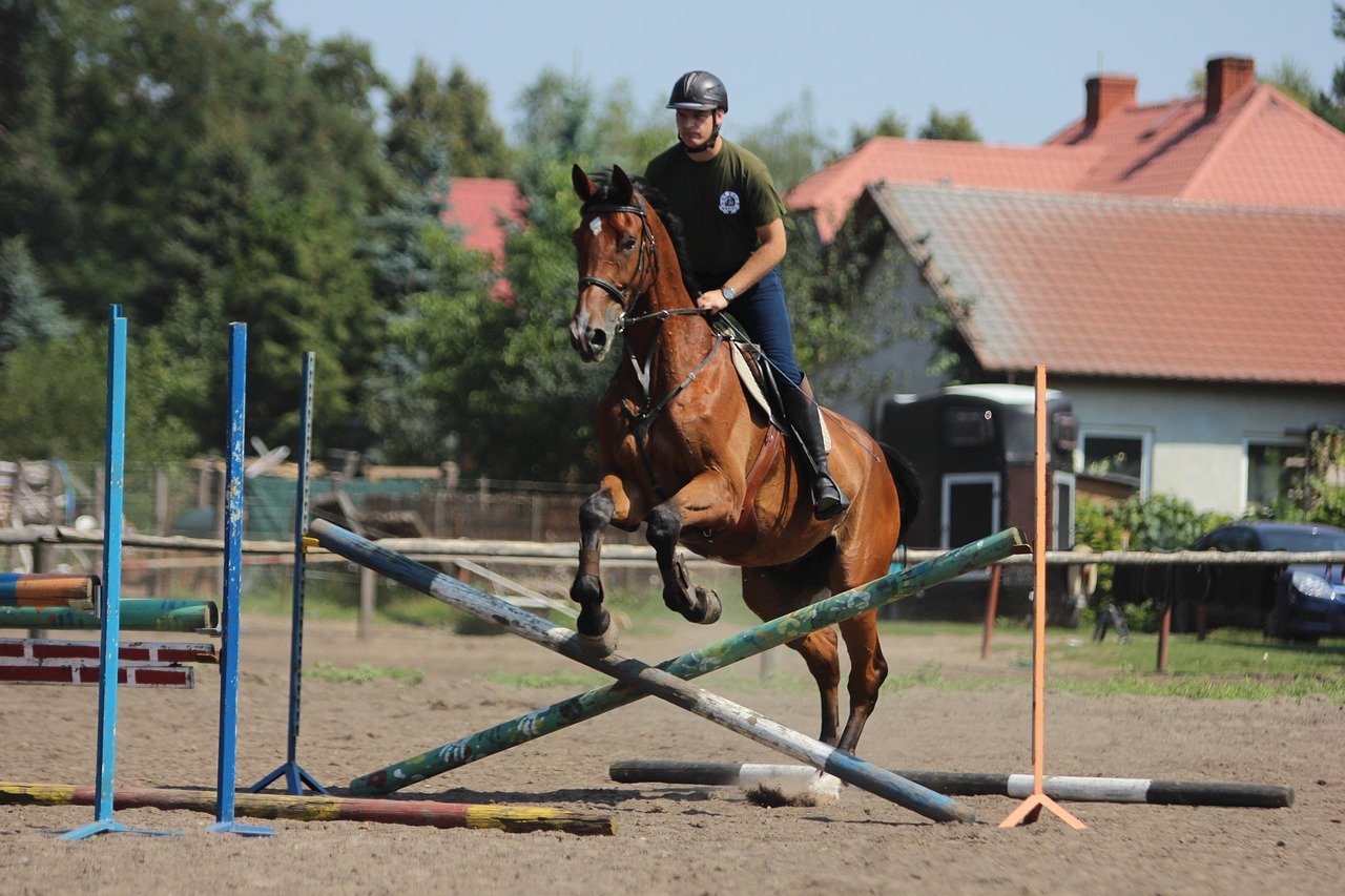 Exercise and Training Consistency (image credits: pixabay)