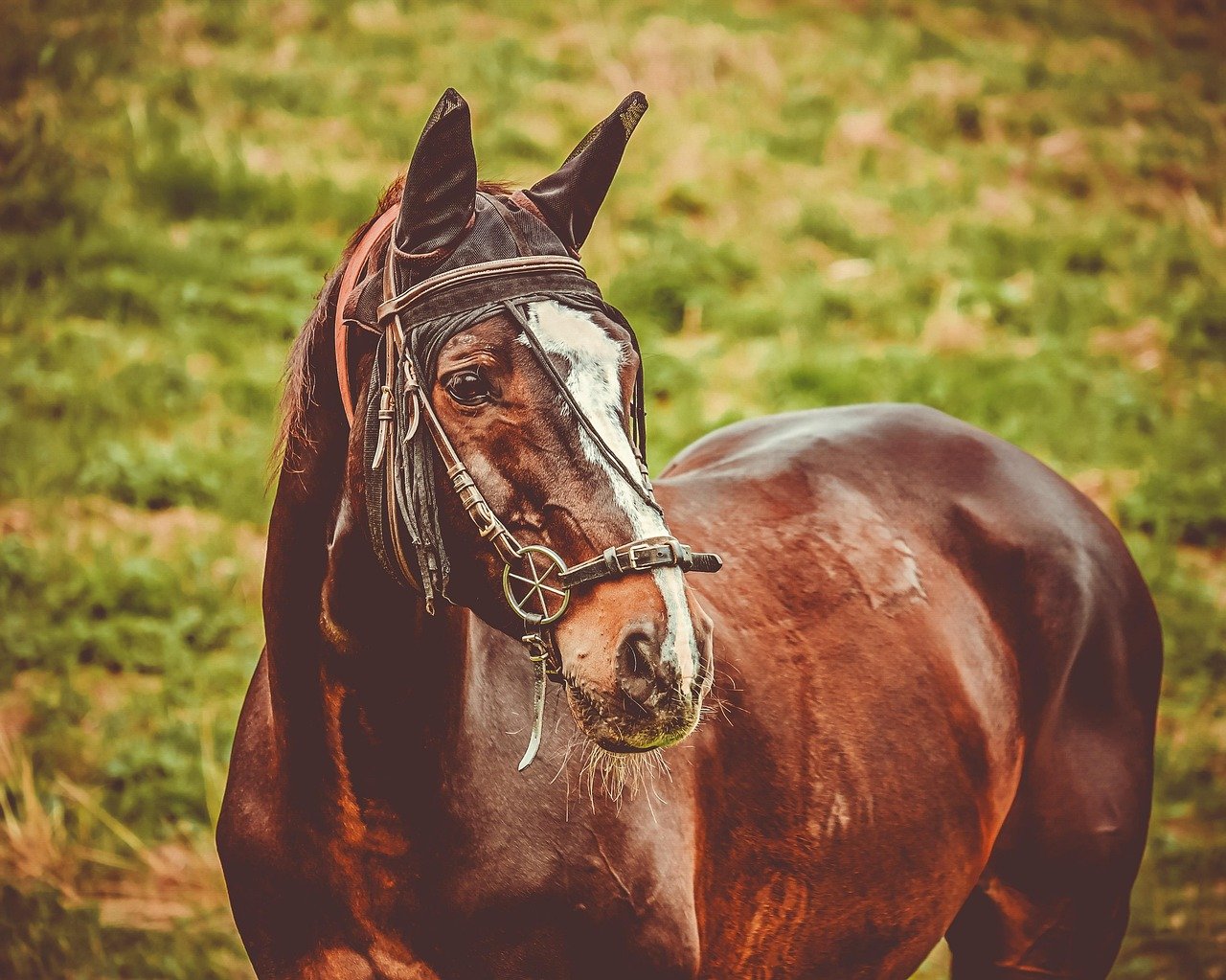 Excessive Drooling or Salivation (image credits: pixabay)