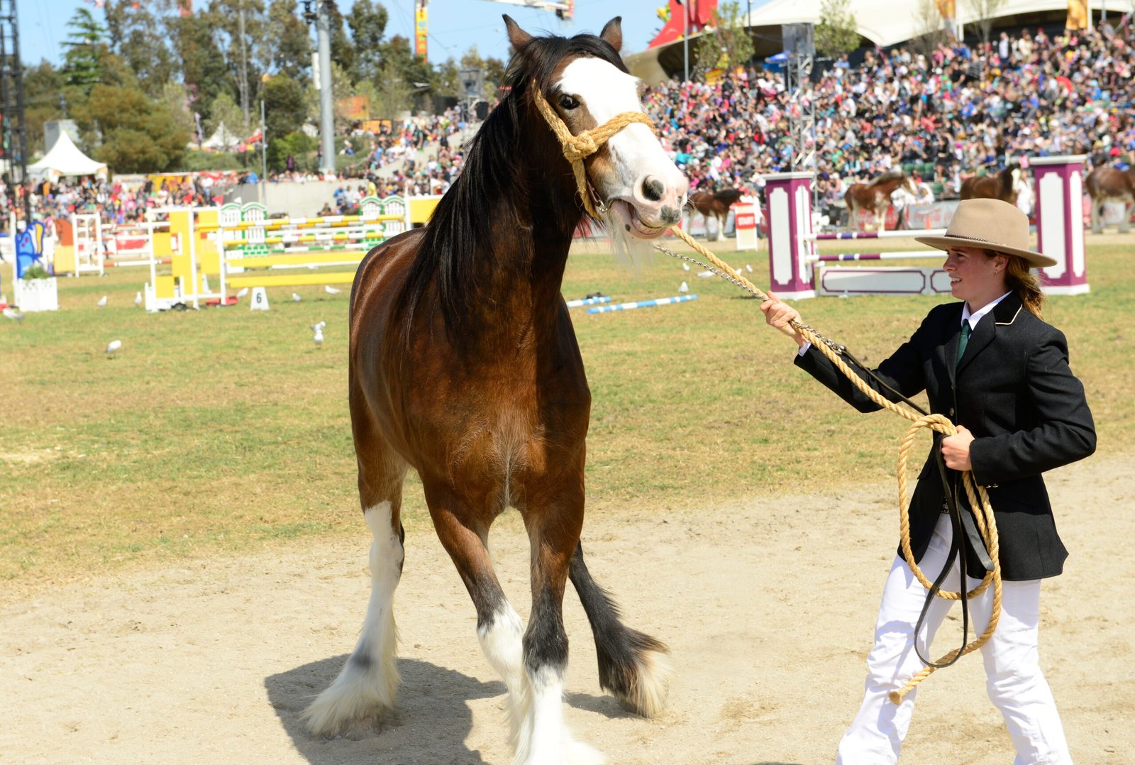 Changes in Attitude or Performance (image credits: wikimedia)