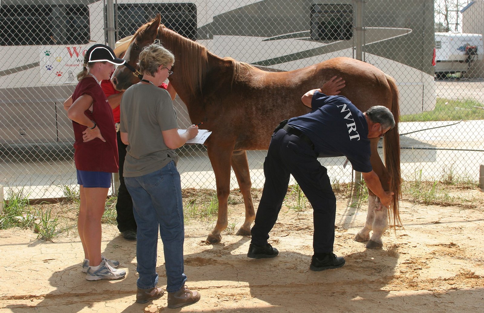 The Importance of Professional Evaluation (image credits: wikimedia)
