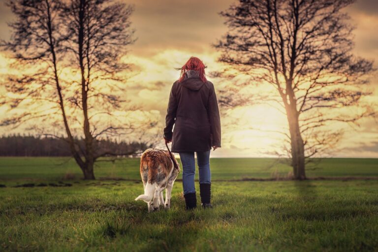 Why Does Your Dog Follow You Everywhere?