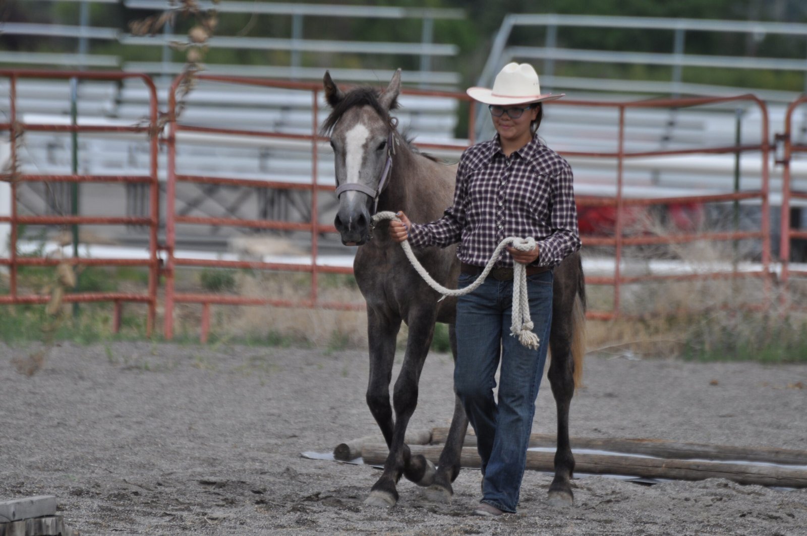 Encouraging Patience and Mindfulness (image credits: wikimedia)