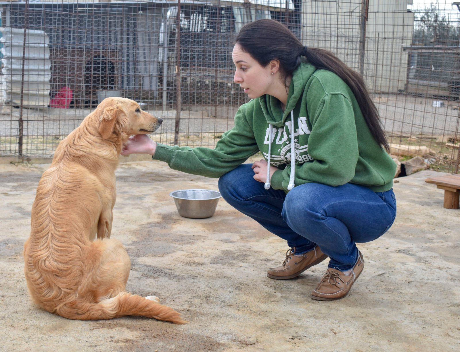 Helping Other Animals in Their Honor (image credits: wikimedia)