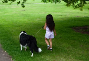 8 Things Never To Encourage In Dogs Around Little Children