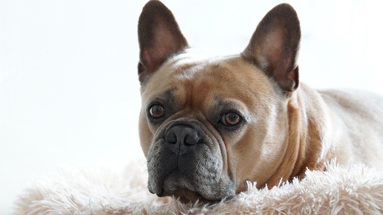 3. Bringing Out Your Belongings (image credits: pixabay)