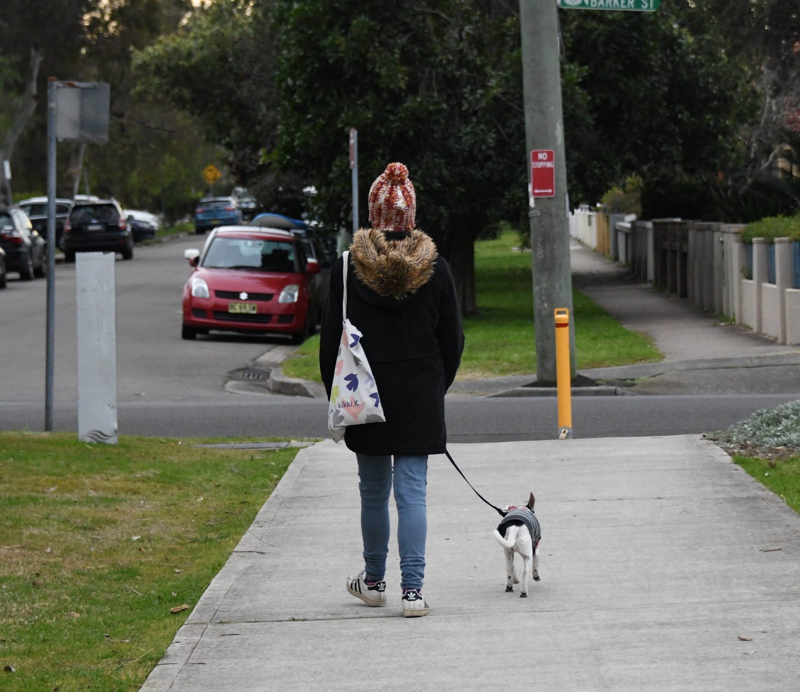 Start With Short, Positive Outings (image credits: wikimedia)