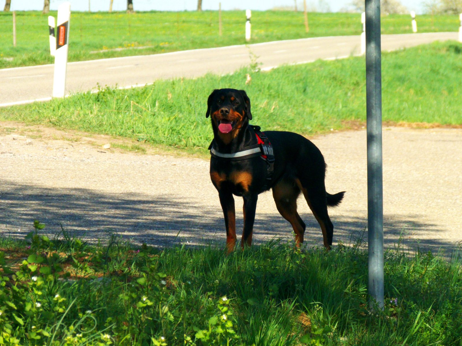 Be Patient and Trust the Process (image credits: wikimedia)