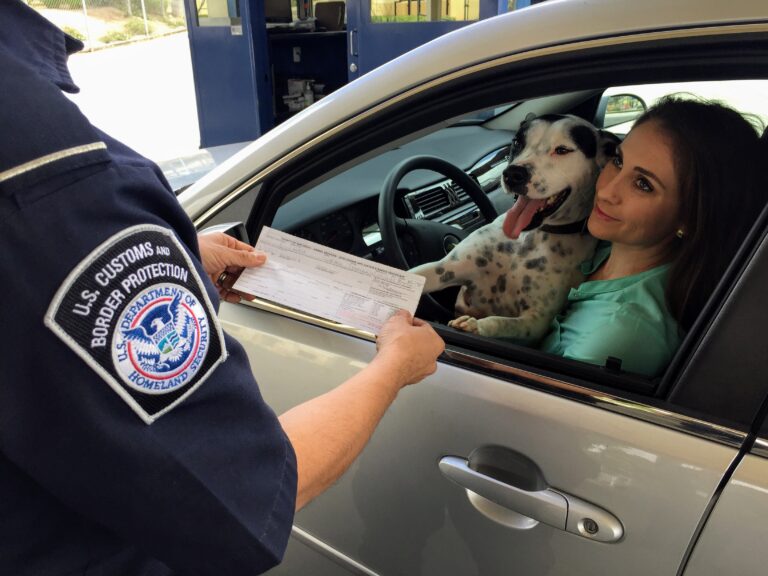 Why California’s Dog Laws Are Tougher Than You Think