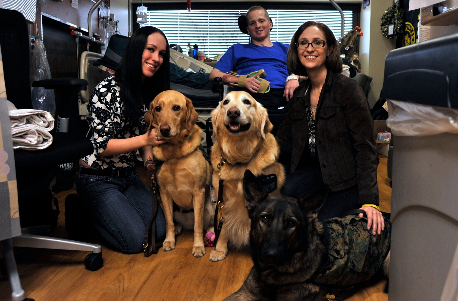 Golden Retriever (image credits: wikimedia)