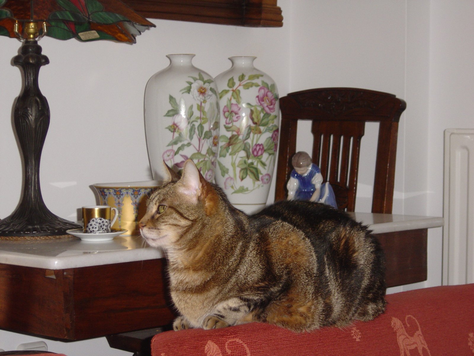 They Manipulate Their Environment (image credits: wikimedia)