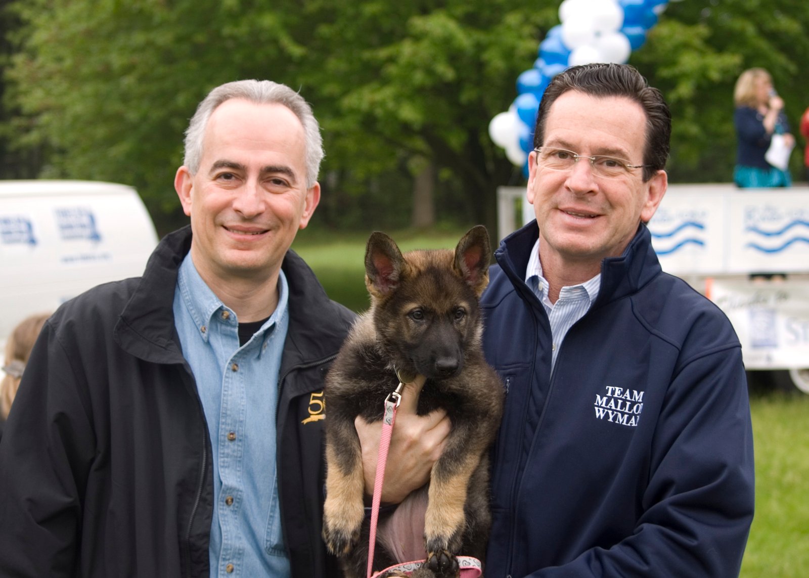 Understanding the Cost Breakdown (image credits: wikimedia)