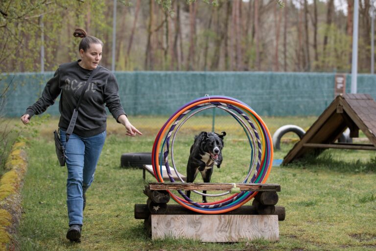 Are Dog Trainers Worth the Cost or Just a Scam?