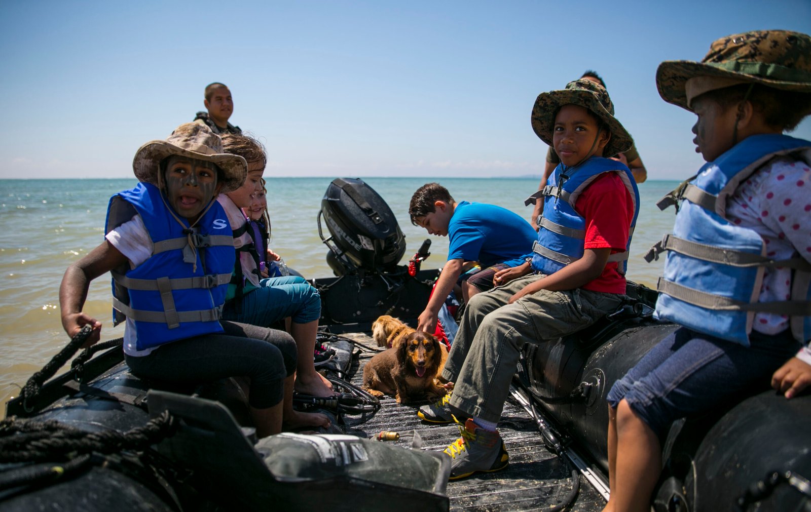 Dachshunds and Children: A Playful Partnership? (image credits: wikimedia)