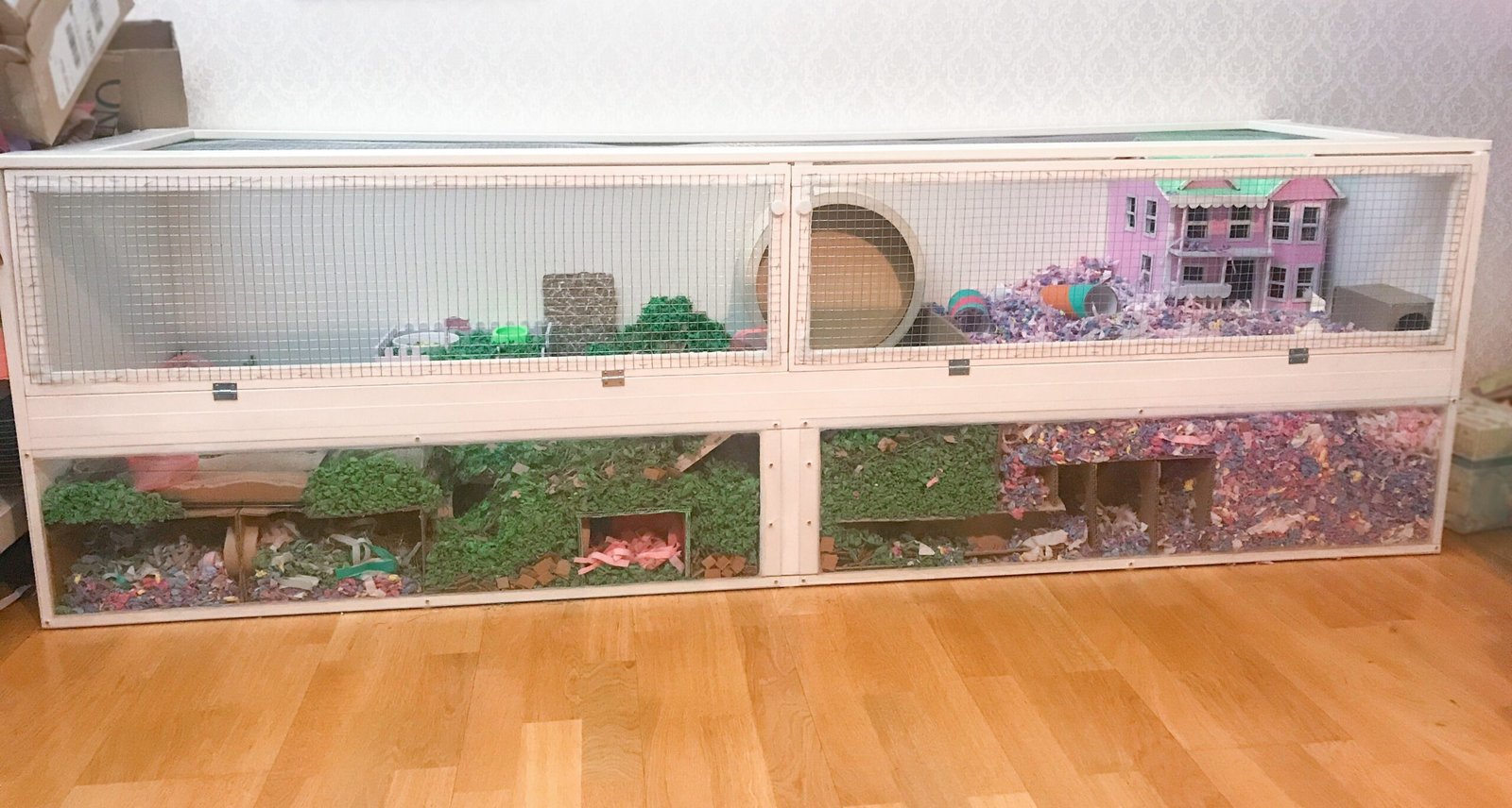 Ventilate the Cage Properly (image credits: wikimedia)