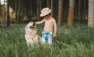20 Dog Breeds That Are Natural Babysitters (and How They Show Their Affection)