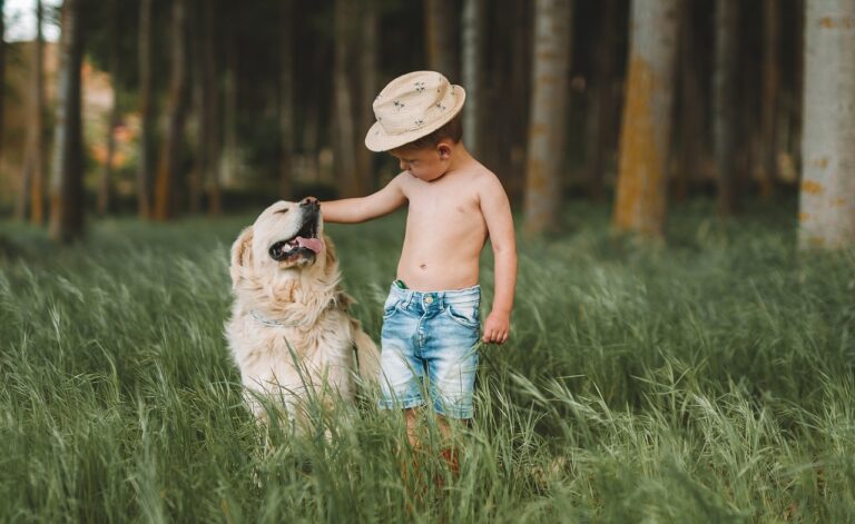 20 Dog Breeds That Are Natural Babysitters (and How They Show Their Affection)